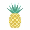 Castorama Adhésif Draeger La Carterie Ananas 15 X 15 Cm 5
