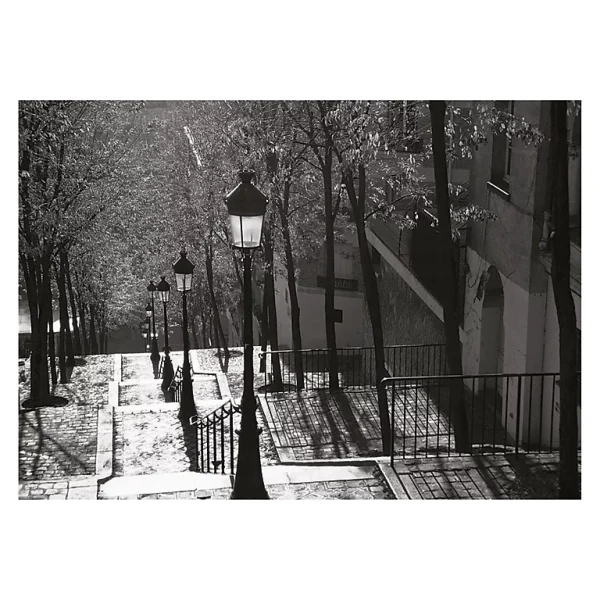 Castorama Affiche Escalier 30 X 40 Cm 1