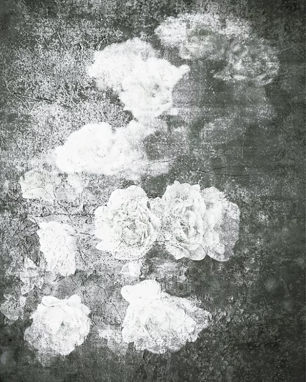 Castorama Affiche Fleurs Noir Et Blanc 40 X 50 Cm 1
