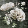 Castorama Affiche Fleurs Vintage 40 X 50 Cm 5