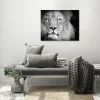 Castorama Affiche Jungle Format 40 X 50 Cm 7
