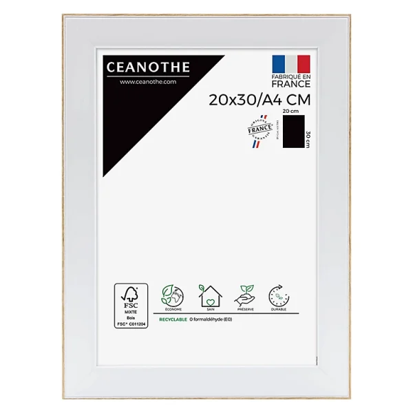 Castorama Cadre Newton Blanc 21 X 29.7 Cm Ceanothe 1