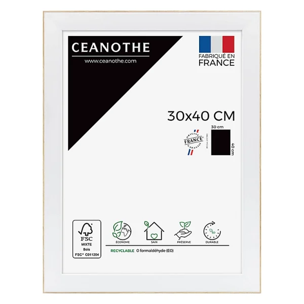 Castorama Cadre Newton Blanc 30 X 40 Cm Ceanothe 1