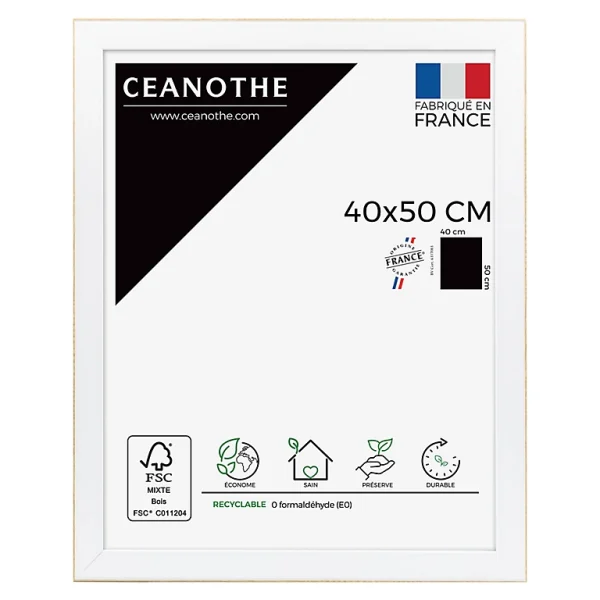 Castorama Cadre Newton Blanc 40 X 50 Cm Ceanothe 1