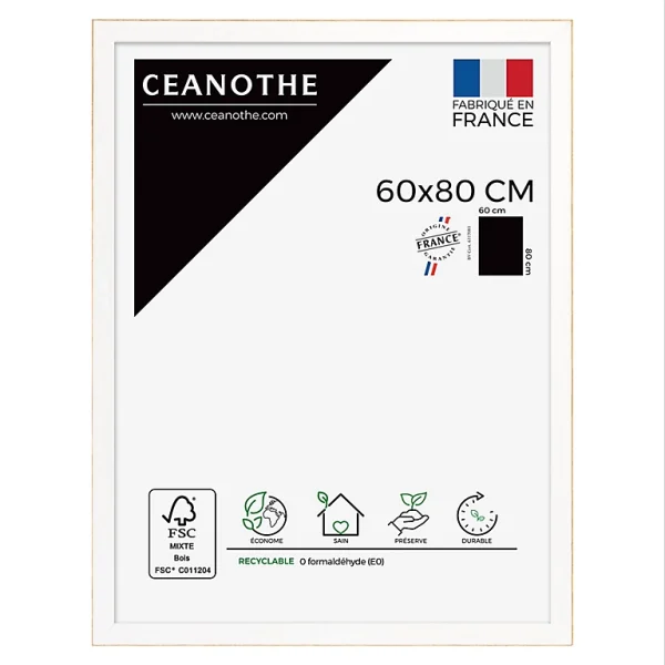 Castorama Cadre Newton Blanc 50 X 80 Cm Ceanothe 1