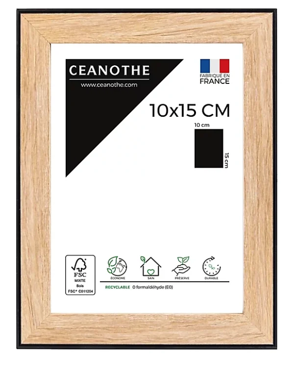 Castorama Cadre Newton Noir 10 X 15 Cm Ceanothe 1