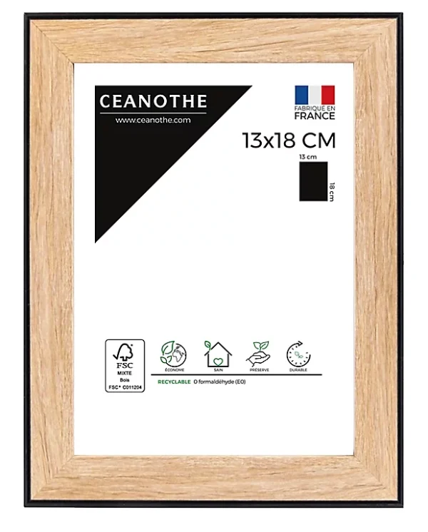 Castorama Cadre Newton Noir 13 X 18 Cm Ceanothe 1