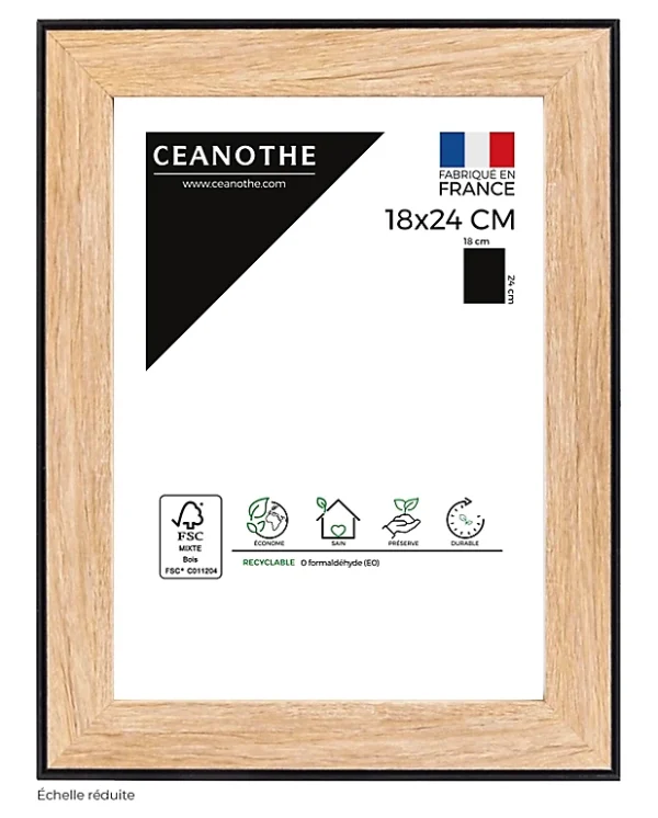 Castorama Cadre Newton Noir 18 X 24 Cm Ceanothe 1