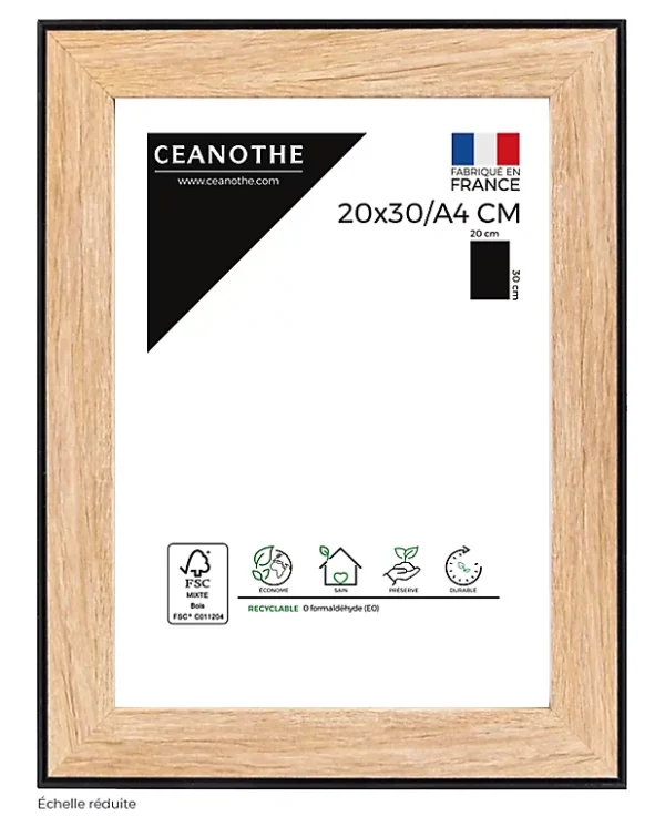 Castorama Cadre Newton Noir 21 X 29,7 Cm Ceanothe 1