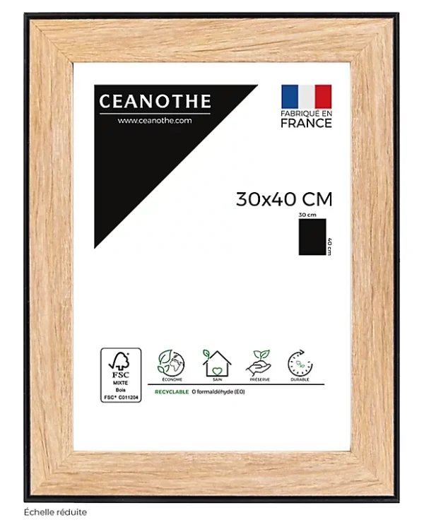 Castorama Cadre Newton Noir 30 X 40 Cm Ceanothe 1