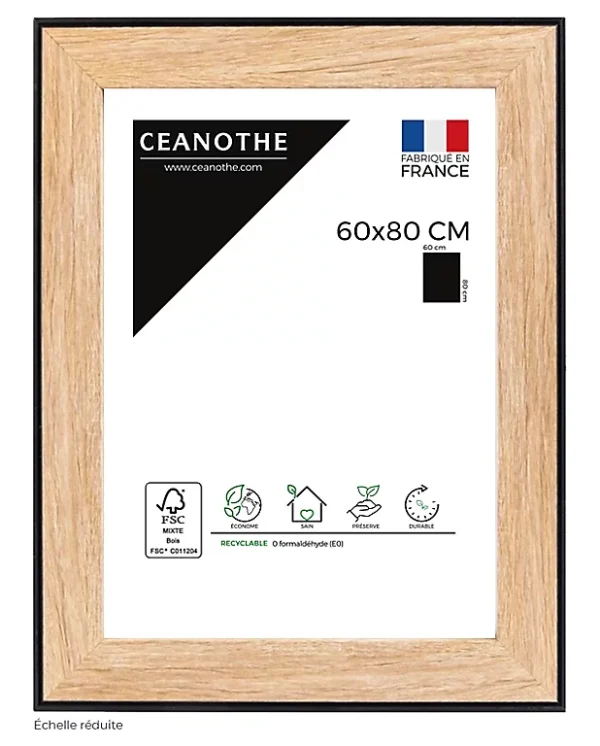 Castorama Cadre Newton Noir 60 X 80 Cm Ceanothe 1