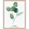 Castorama Image Encadrée Eucalyptus 24 X 30 Cm 7