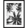 Castorama Image Encadrée Palmiers Et Ciel Noir Et Blanc L.40 X L.30 Cm Cm Dada Art 5