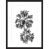Castorama Image Encadrée Palmiers Noir Et Blanc L.40 X L.30 Cm Cm Dada Art 7