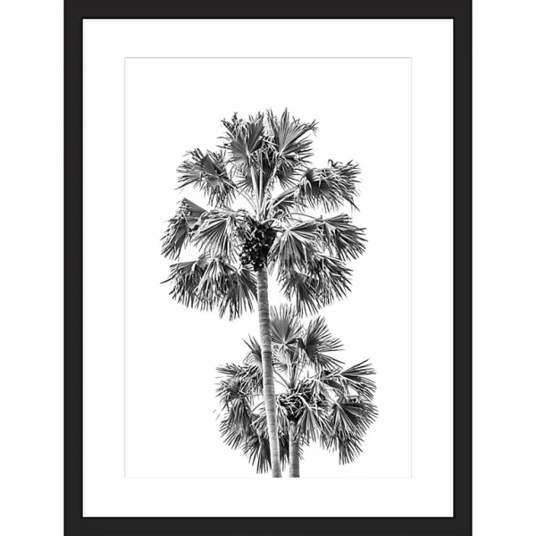 Castorama Image Encadrée Palmiers Noir Et Blanc L.40 X L.30 Cm Cm Dada Art 1