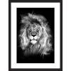 Castorama Image Encadrée Portrait Lion Noir Et Blanc L.40 X L.30 Cm Cm Dada Art 5