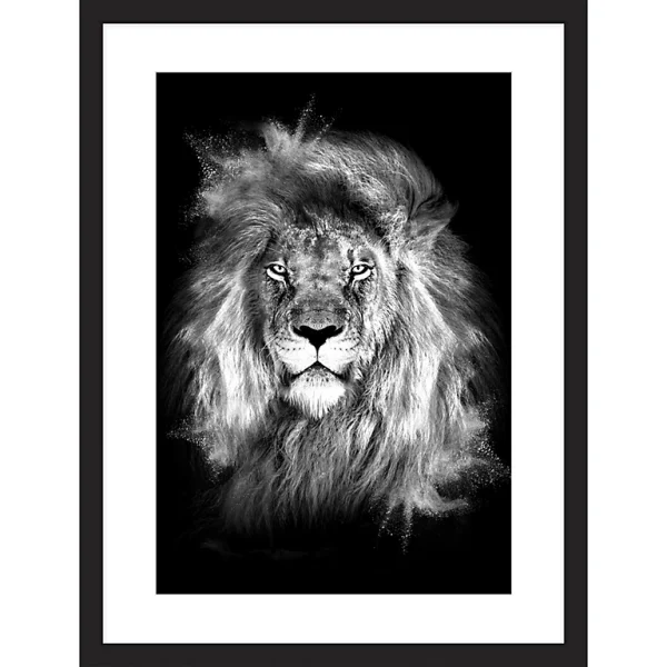 Castorama Image Encadrée Portrait Lion Noir Et Blanc L.40 X L.30 Cm Cm Dada Art 1
