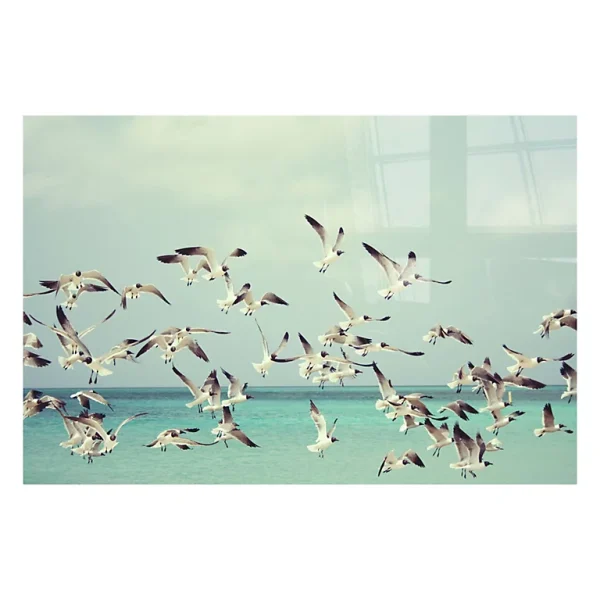 Castorama Simplexe Mer Evol 80 X 120 Cm 1