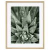 Castorama Toile Botanica Goutte 40 X 50 Cm 7