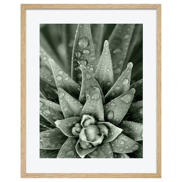 Castorama Toile Botanica Goutte 40 X 50 Cm 1