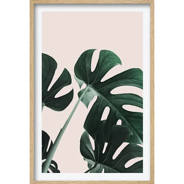 Castorama Toile Botanica Végétal 60 X 90 Cm 1