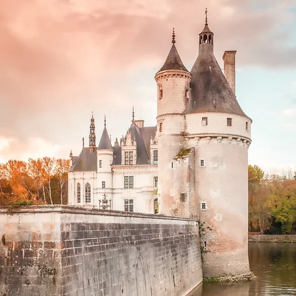 Castorama Toile Imprimée Château Chenonceau 75 X 75 Cm 1