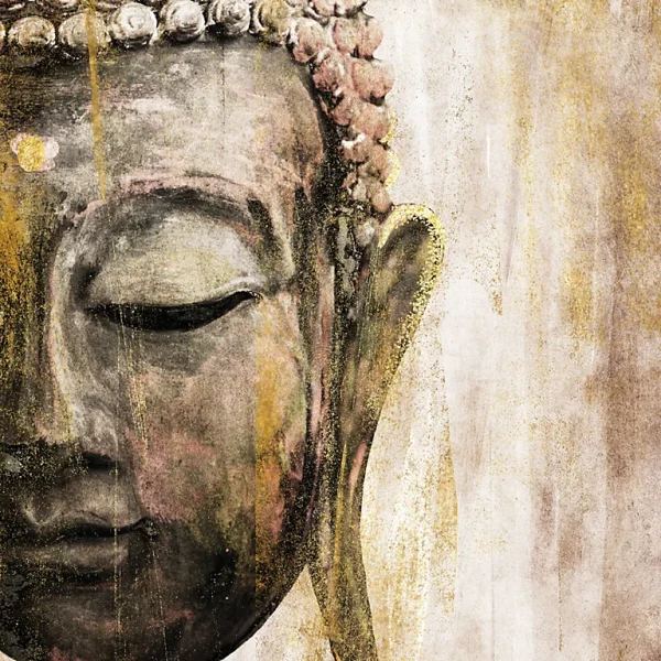 Castorama Toile Imprimée Couleur Bouddha Dada Art Orientation Portrait L.50 X H.50 X ép.3 Cm 1