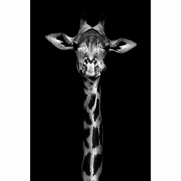 Castorama Toile Imprimée Noir Et Blanc Girafe Dada Art Orientation Paysage L.80 X H.120 X ép.3 Cm 1
