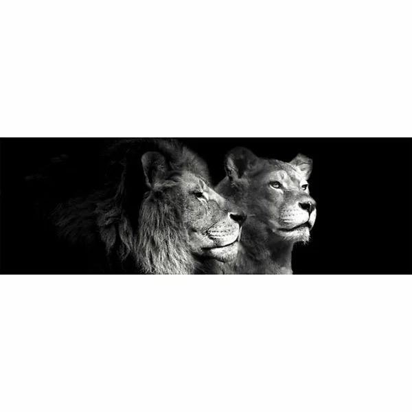 Castorama Toile Lion Lionne L.45 X L.135 Cm Dada Art 1