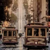 Castorama Toile Tramway 100 X 140 Cm 7
