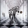 Castorama Toile Zebras Clean 60X90cm 5
