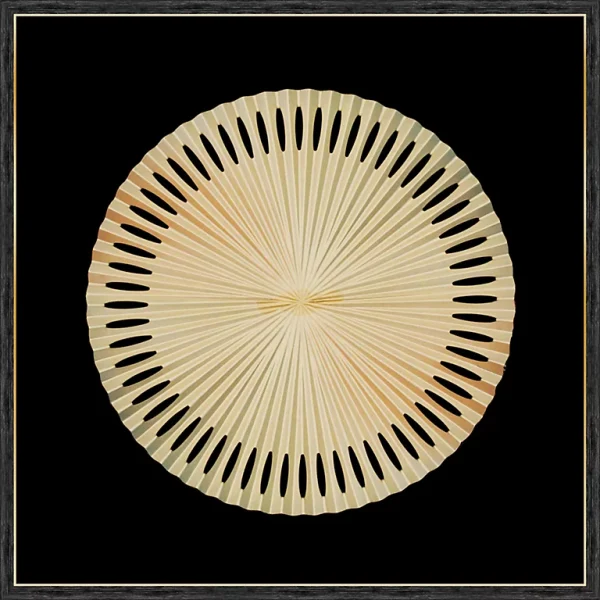 Castorama Vitrines éventail Doré L.80 X L.80 X Ep.5 Cm 1